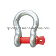 Us Type D Shackle with Screw Pin 209 Dr-Z0080